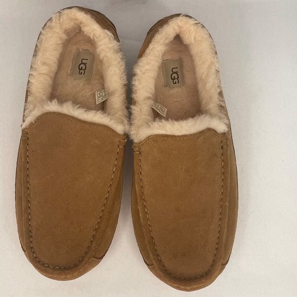 UGG Ascot Slipper suede with rubber sole color chestnut Size 12 main image 14